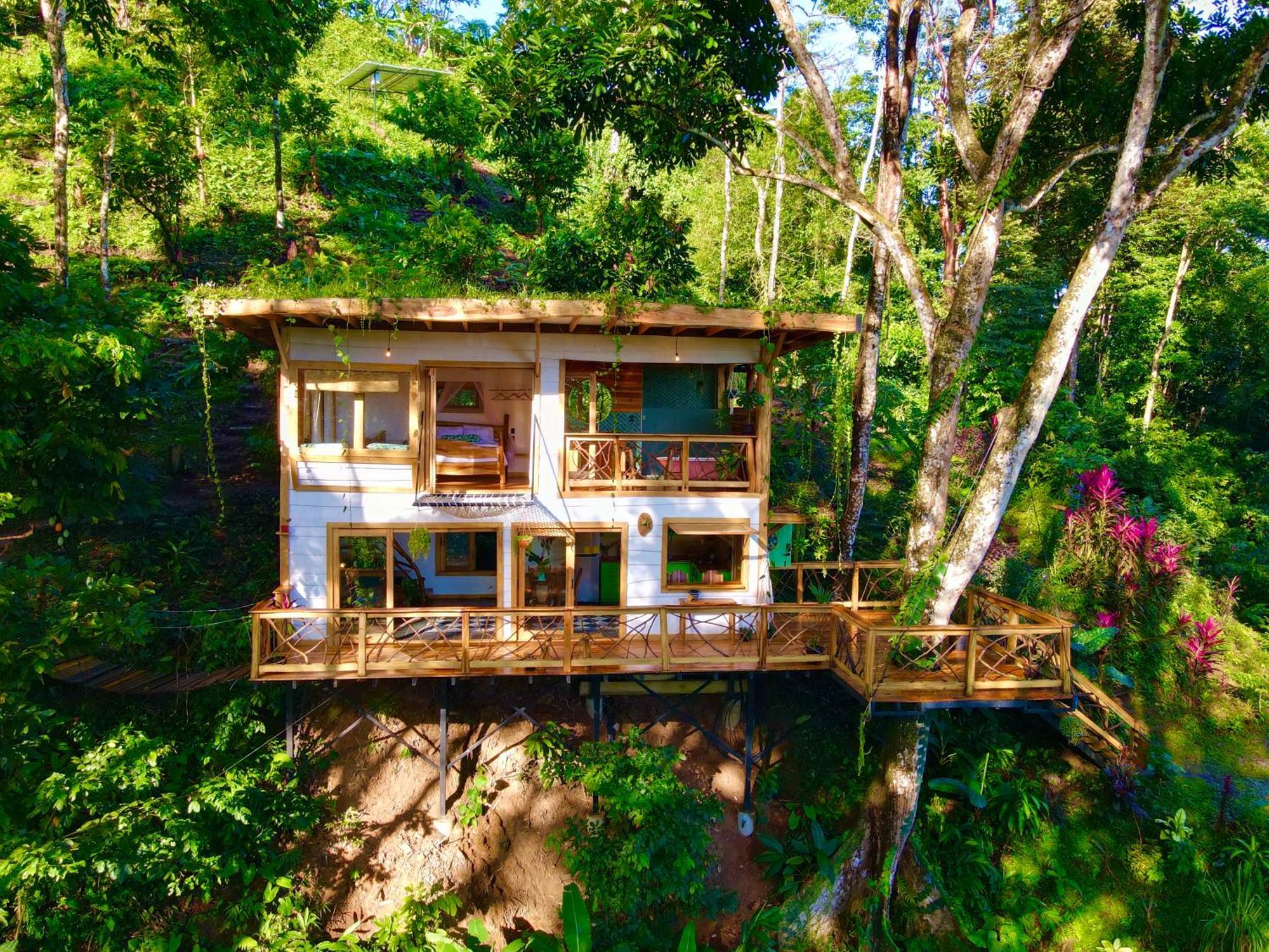 Jungle Spirit Treehouse Villa Кахуита Екстериор снимка