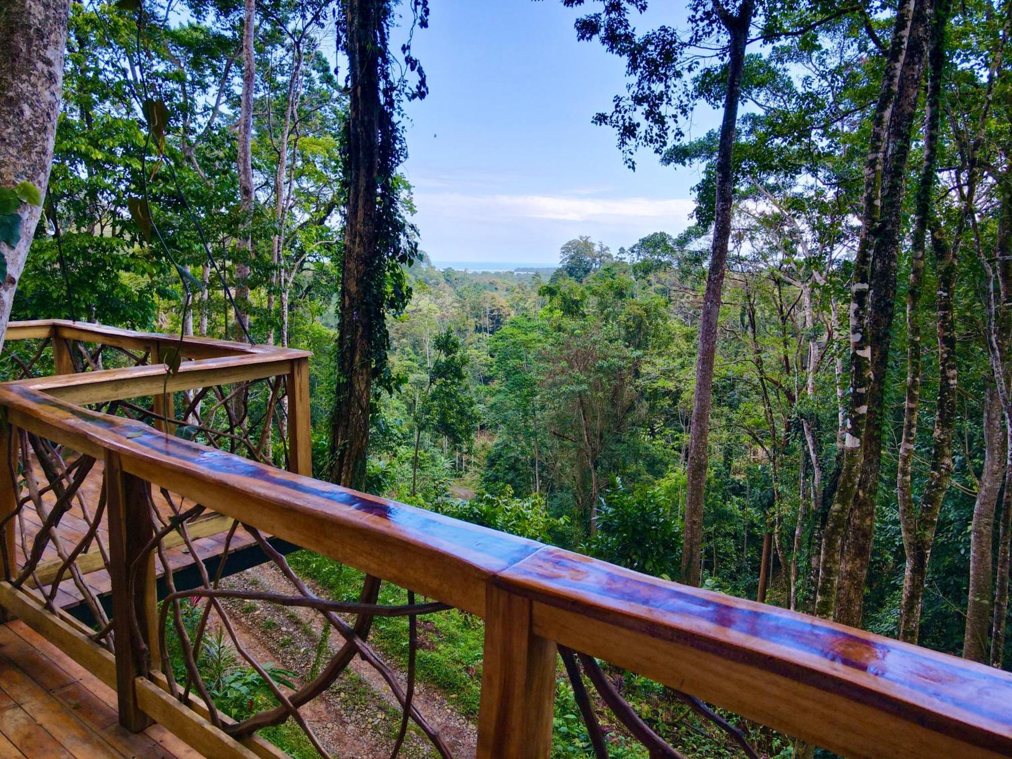 Jungle Spirit Treehouse Villa Кахуита Екстериор снимка