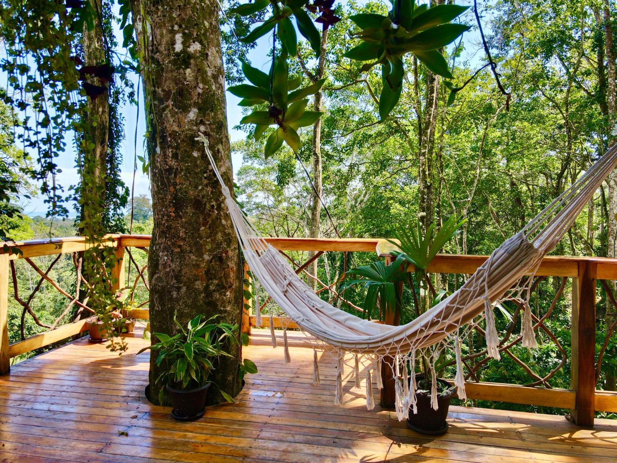 Jungle Spirit Treehouse Villa Кахуита Екстериор снимка
