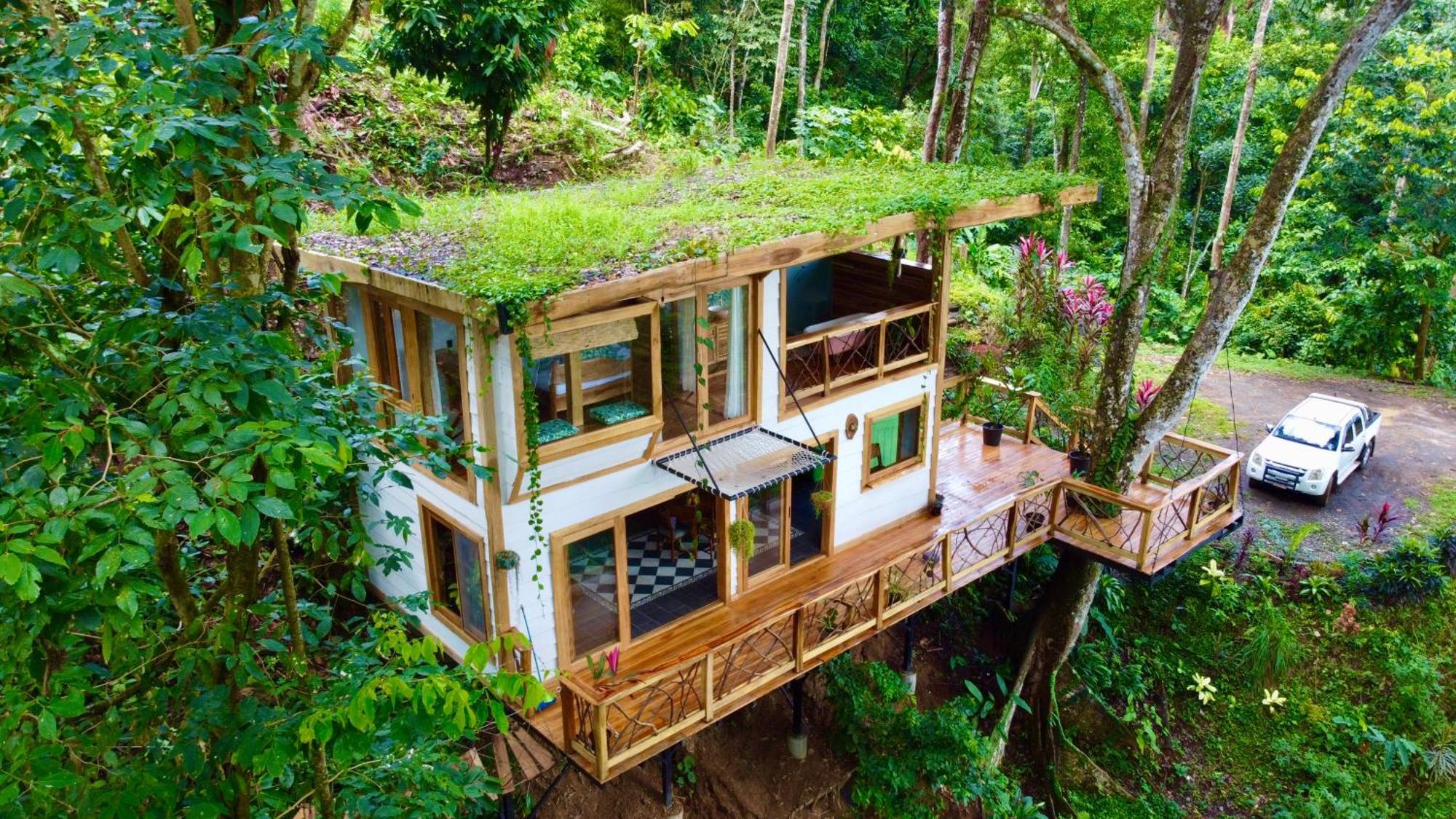 Jungle Spirit Treehouse Villa Кахуита Екстериор снимка