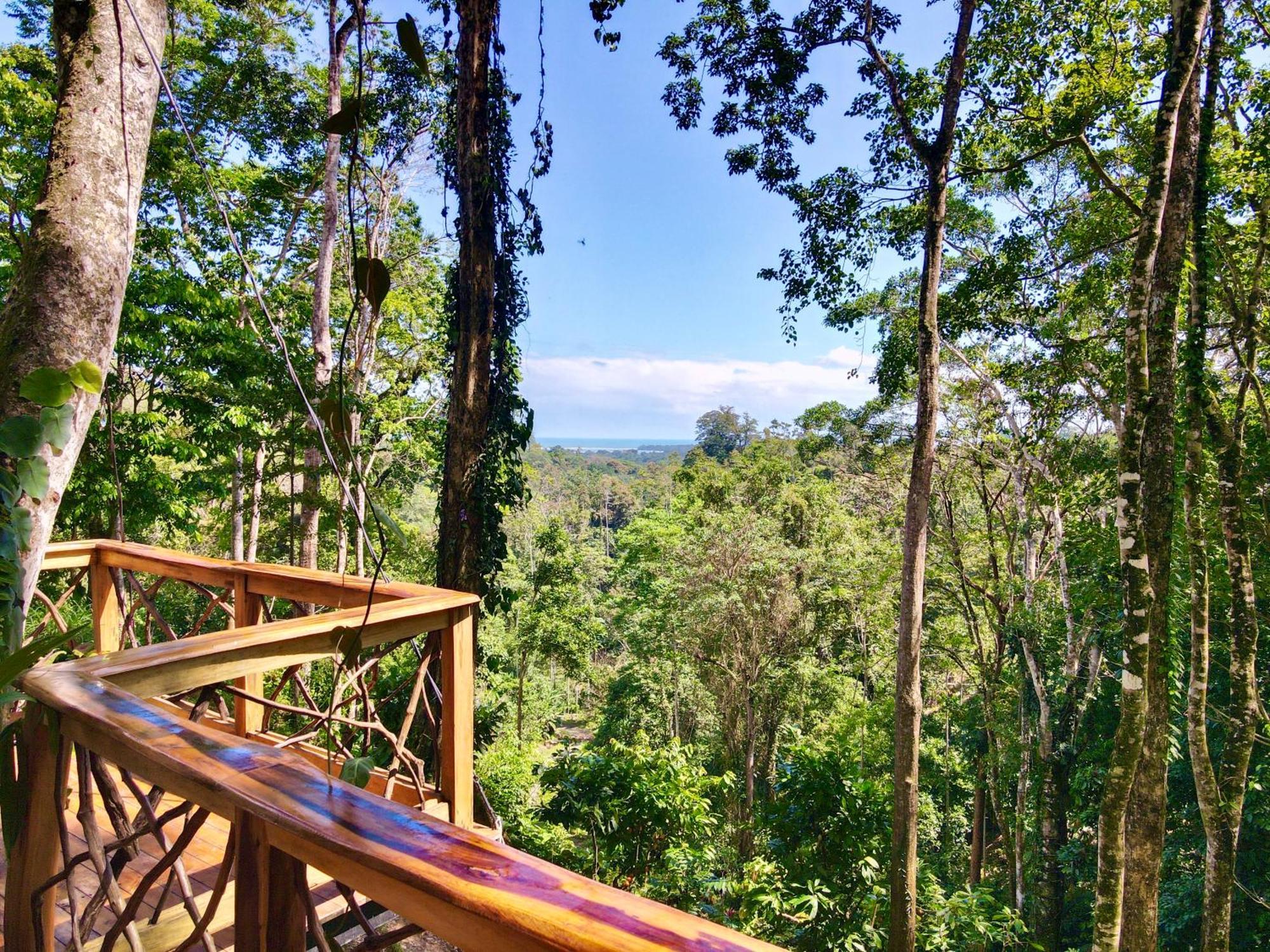 Jungle Spirit Treehouse Villa Кахуита Екстериор снимка