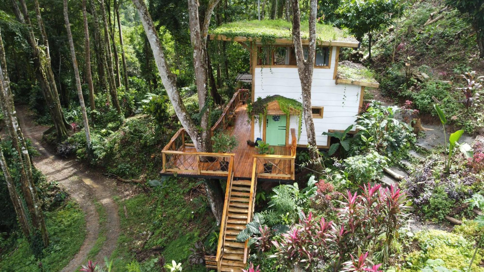 Jungle Spirit Treehouse Villa Кахуита Екстериор снимка