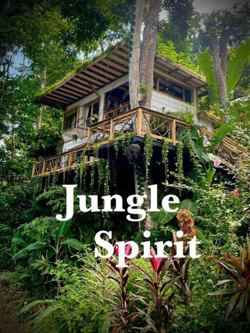 Jungle Spirit Treehouse Villa Кахуита Екстериор снимка