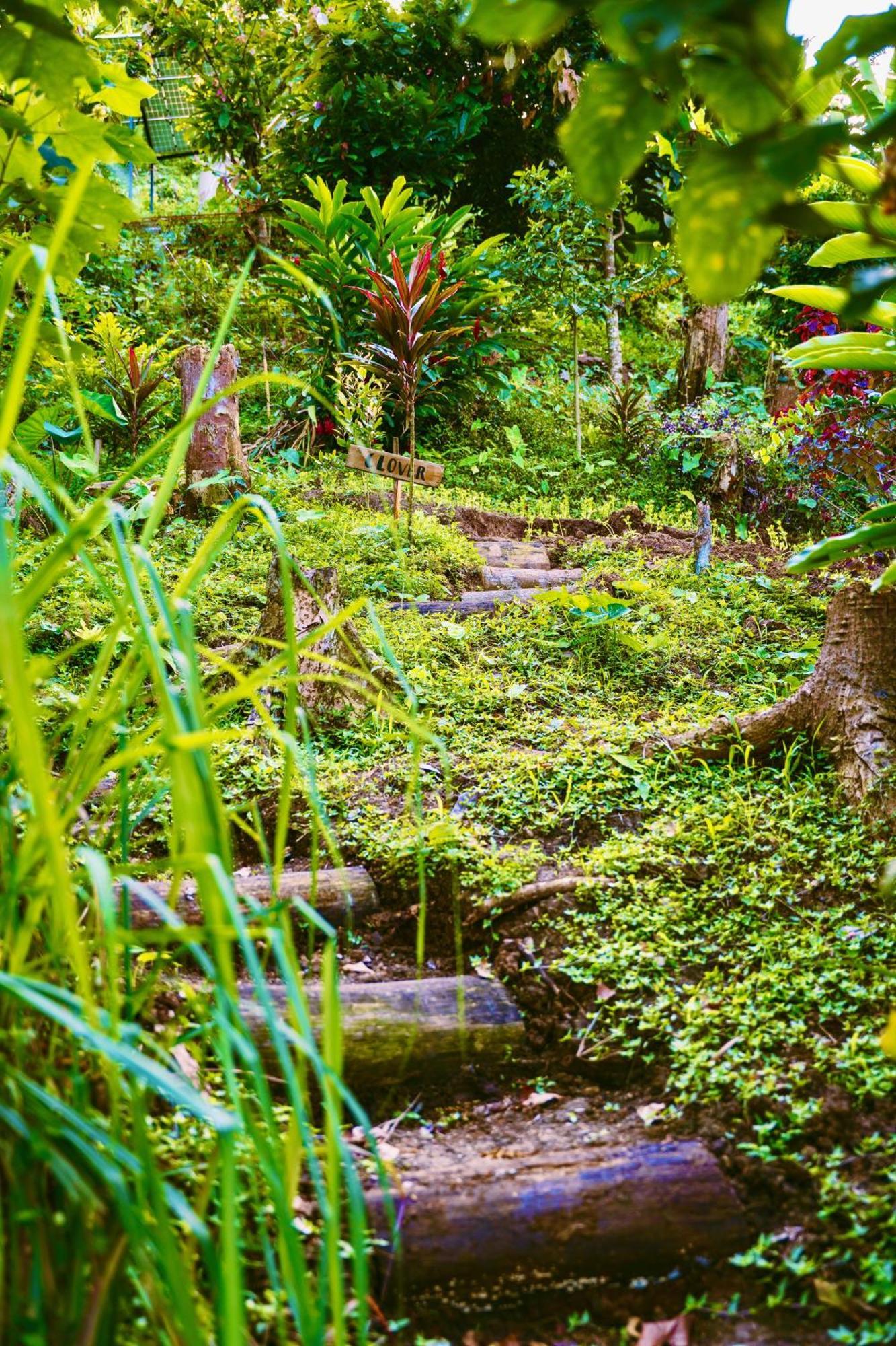 Jungle Spirit Treehouse Villa Кахуита Екстериор снимка