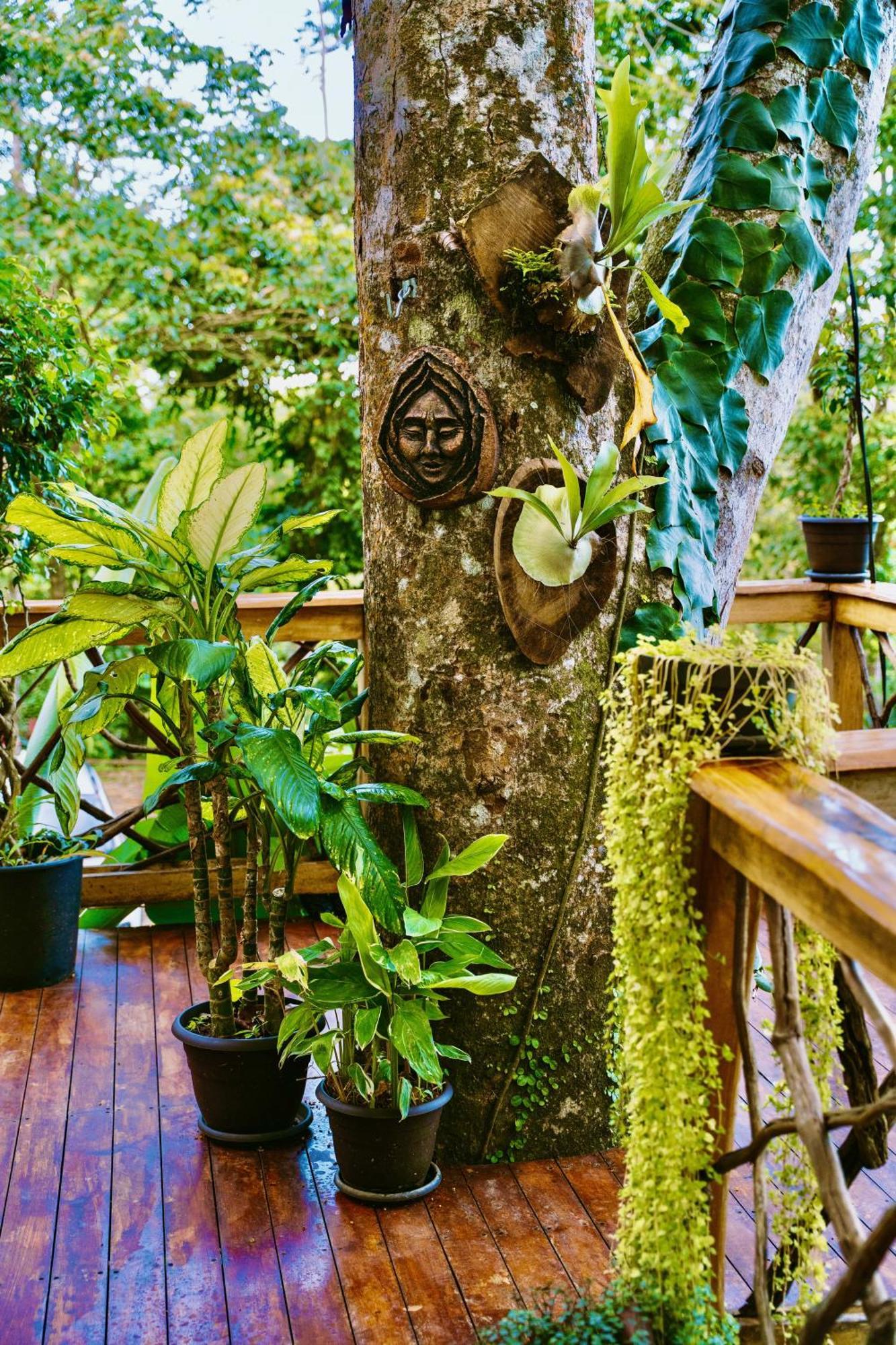 Jungle Spirit Treehouse Villa Кахуита Екстериор снимка