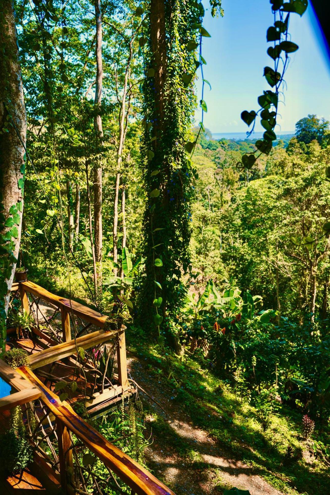 Jungle Spirit Treehouse Villa Кахуита Екстериор снимка